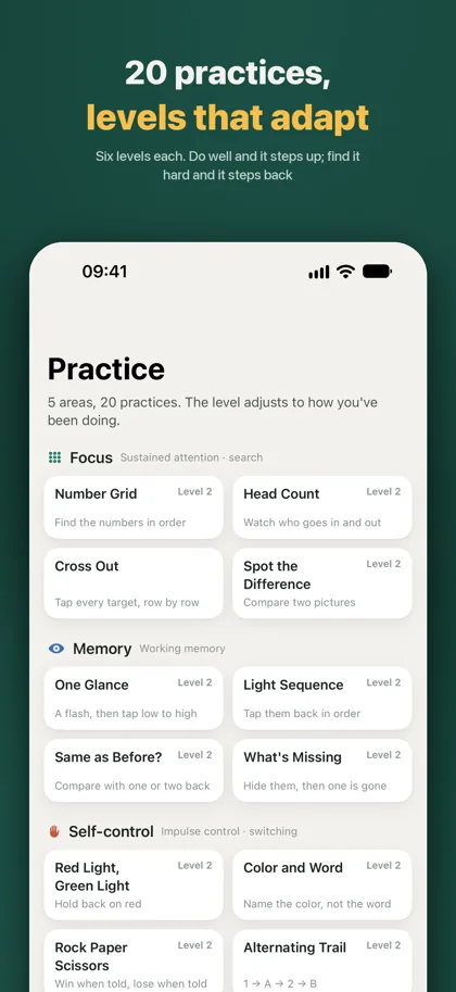The Practice tab: 20 practices grouped into five areas, each showing its current level