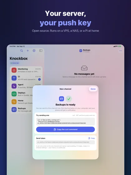The curl command and send token shown right after a channel is created, on iPad