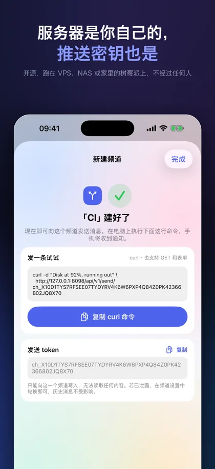 新建一个频道之后给出的 curl 命令与发送 token