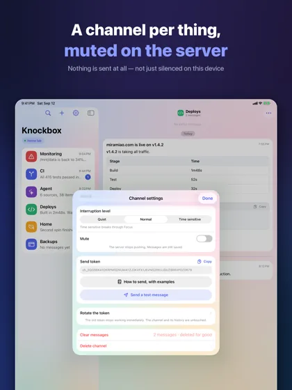 A channel screen with its mute switch and send token, on iPad