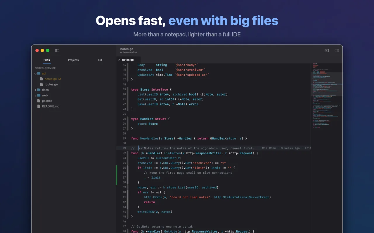 Litepad with a Go project open: the file list on the left, the code and a minimap of the whole file on the right
