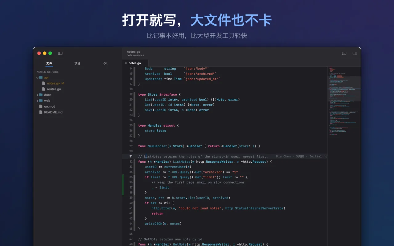Litepad 打开一个 Go 项目：左边是文件列表，右边是代码和整篇缩略图