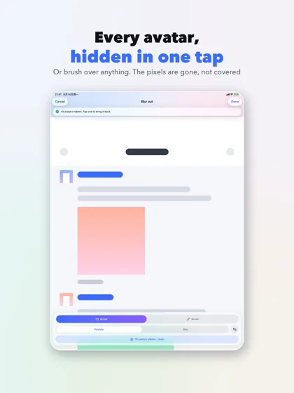 The blur-out screen on iPad, with brush, erase, pixelate and blur controls along the bottom