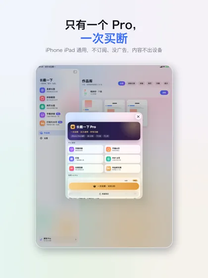 Pro：一次买断