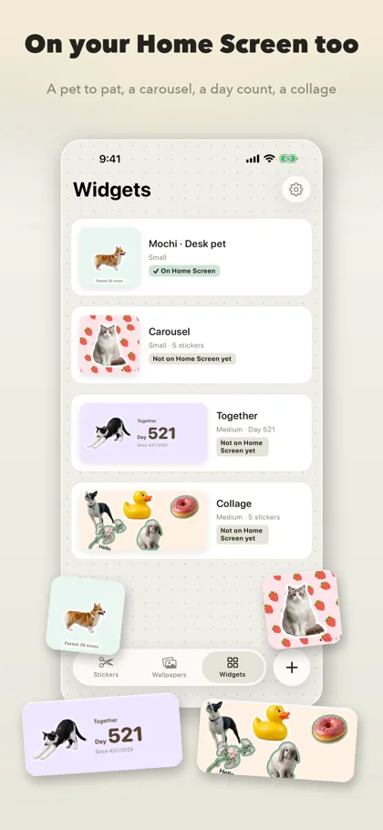The widget list: a desk pet, a carousel, a day count and a collage