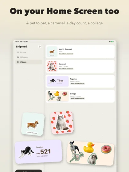 On iPad: the widget list, with a desk pet, a carousel, a day count and a collage