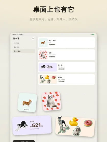 iPad 上的小组件列表：桌宠、轮播、第几天、拼贴板四种