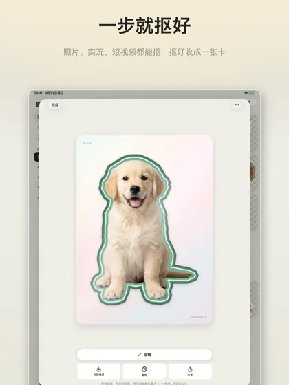 iPad 上的贴纸详情卡片：抠好的小狗，下面是编辑和四个出口